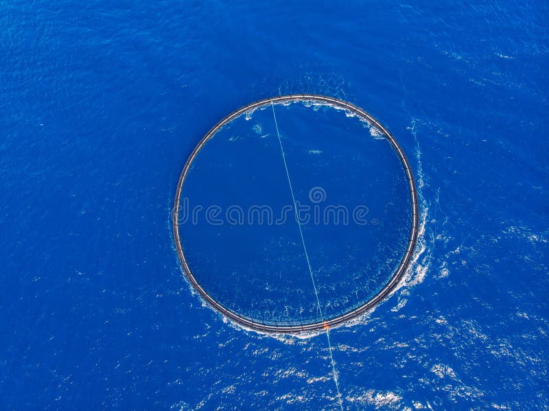 Transportation of fish in cage to farm and port market. Blue sea background. Aerial top view