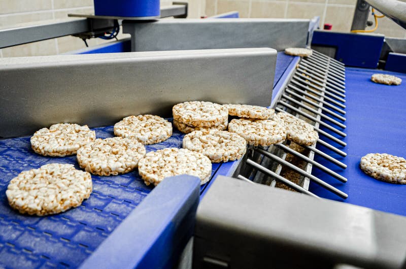 Transportation from One Process To Another on Food Production Line. Modern Equipment Food