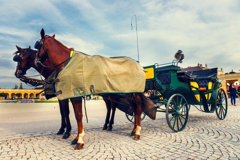 Transportes do cavalo no quadrado principal do palácio de Schonbrunn em Viena, Áustria fotos de stock royalty free Transportes do cavalo no quadrado principal do palácio de Schonbrunn em Viena, Áustria fotos de stock royalty free