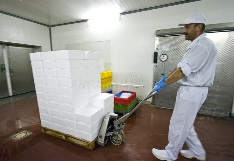 Transporting polystyrene boxes royalty free stock images