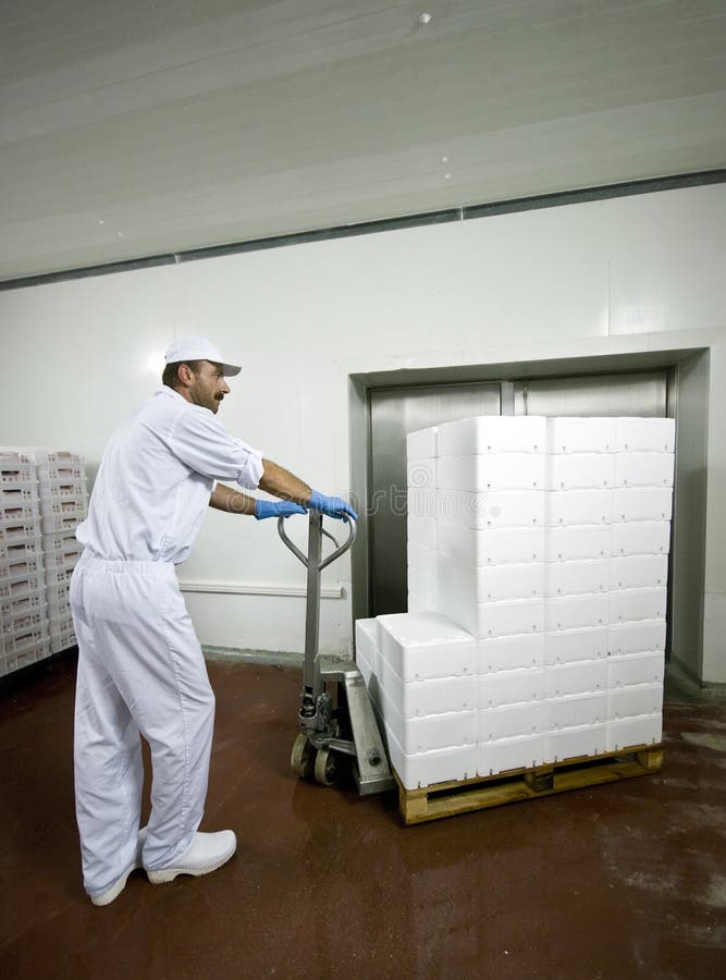 Transporting polystyrene boxes stock images