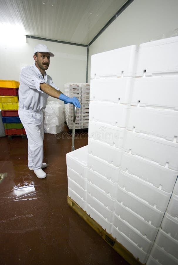 Transporting polystyrene boxes royalty free stock photos