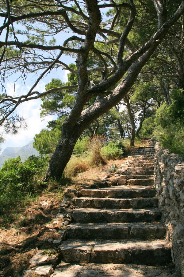 Trap royalty-vrije stock afbeeldingen