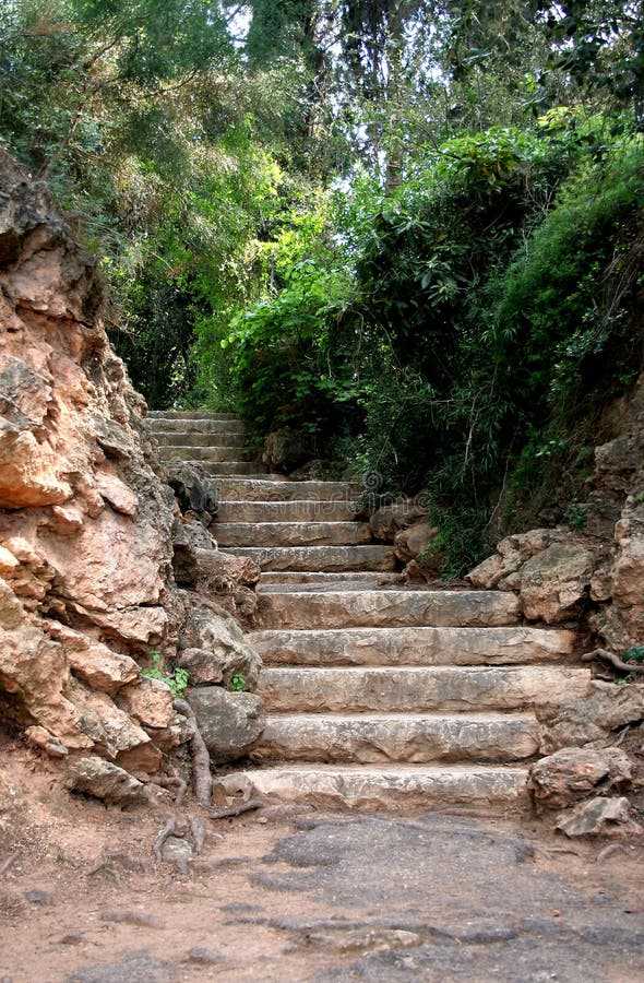 Trap in het park royalty-vrije stock afbeeldingen