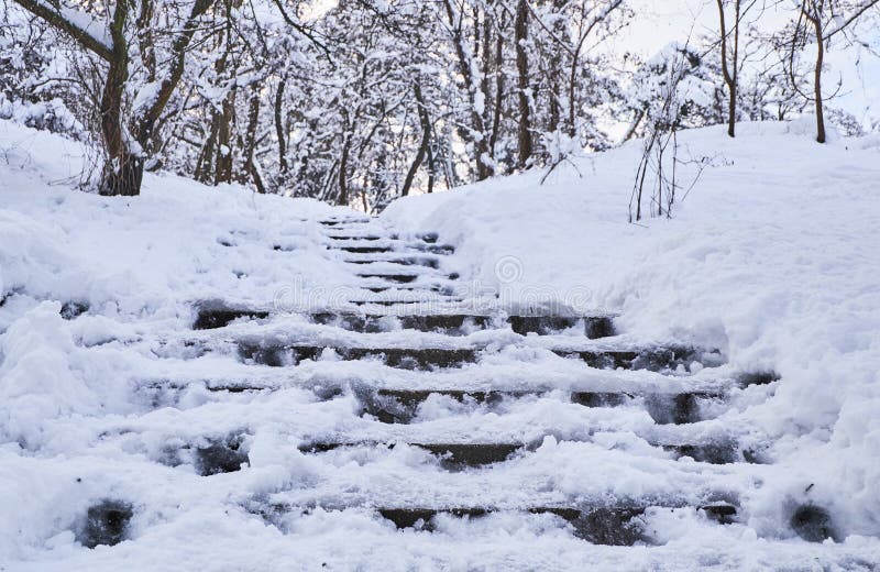 Trappan i vinter parkerar dolt med snö arkivbilder Trappan i vinter parkerar dolt med snö arkivbilder