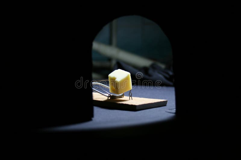 Trappola per topi con formaggio fotografia stock libera da diritti Trappola per topi con formaggio fotografia stock libera da diritti