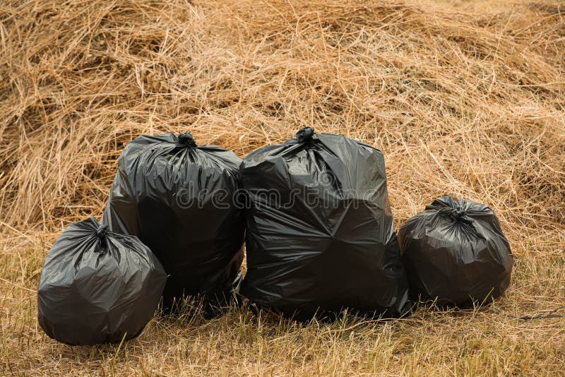 Trash Bags Full of Garbage Outdoors. Space for Text Stock Photo - Image ...