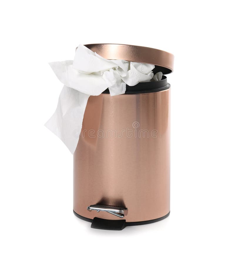 Trash Bin with Used Toilet Paper Stock Photo Image of hygienic