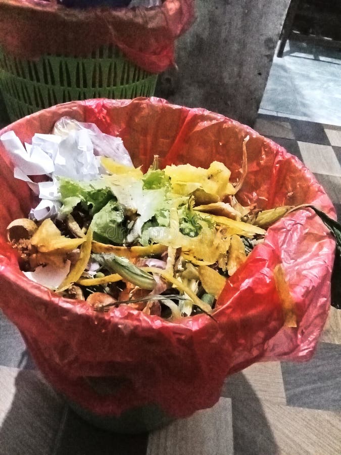 A trash can full with organic waste royalty free stock image