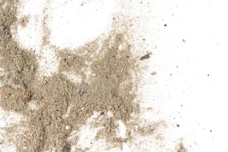 https://thumbs.dreamstime.com/b/trash-dust-dirt-white-background-closeup-texture-garbage-vacuum-cleaner-trash-dust-dirt-white-background-169089096.jpg