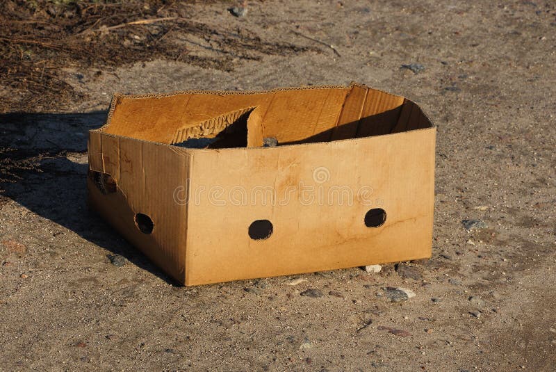 Trash from one brown empty paper cardboard box stands on the gray sand royalty free stock images