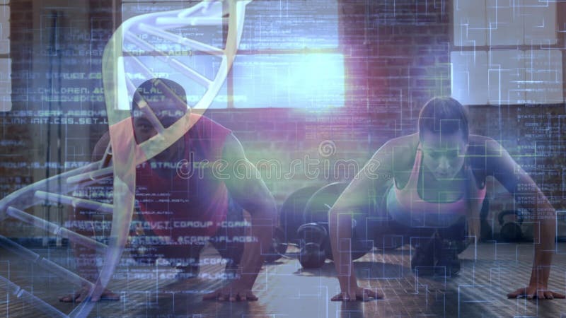 Tratamiento de datos médicos contra parejas de raza mixta realizando ejercicios de empuje en el gimnasio metrajes