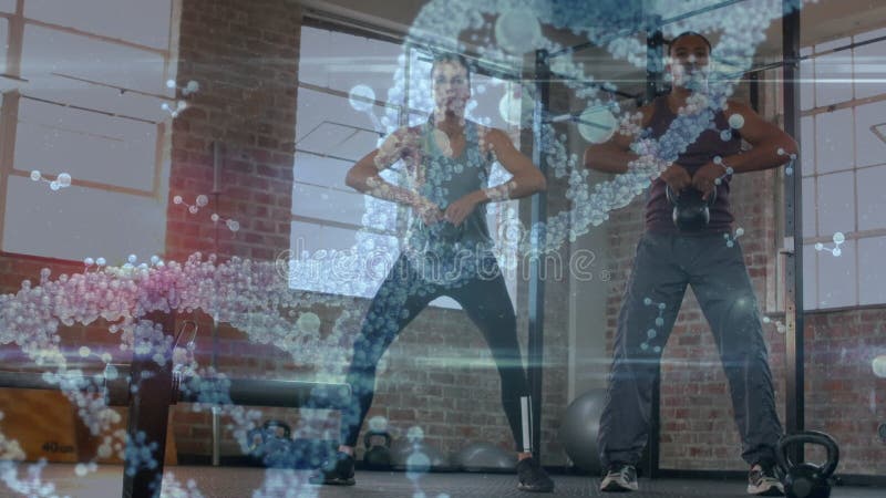 Tratamiento de datos médicos contra personas de raza mixta pareja que trabaja con campanas de cetáceos en el gimnasio metrajes