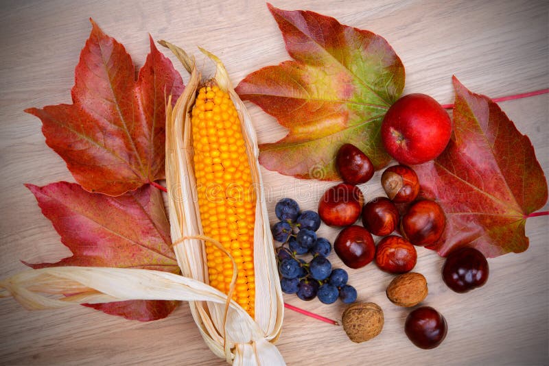 Trauben, Blätter, Apfel, Maiskolben, Kastanie und Walnuss auf hölzernem GR lizenzfreies stockbild