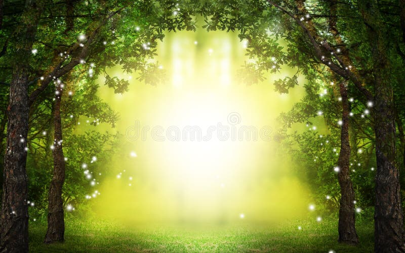 Traumwelt. verzauberter Wald mit Magic Lichtern und sonnenbeschiener Weg zwischen Bäumen. Traumwelt. verzauberter Wald mit Magic Lichtern und sonnenbeschiener Weg zwischen Bäumen.