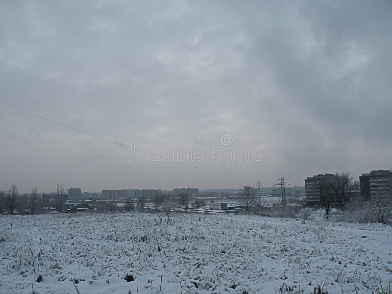 Trauriger Naturwinter-Panoramawald lizenzfreie stockfotos Trauriger Naturwinter-Panoramawald lizenzfreie stockfotos