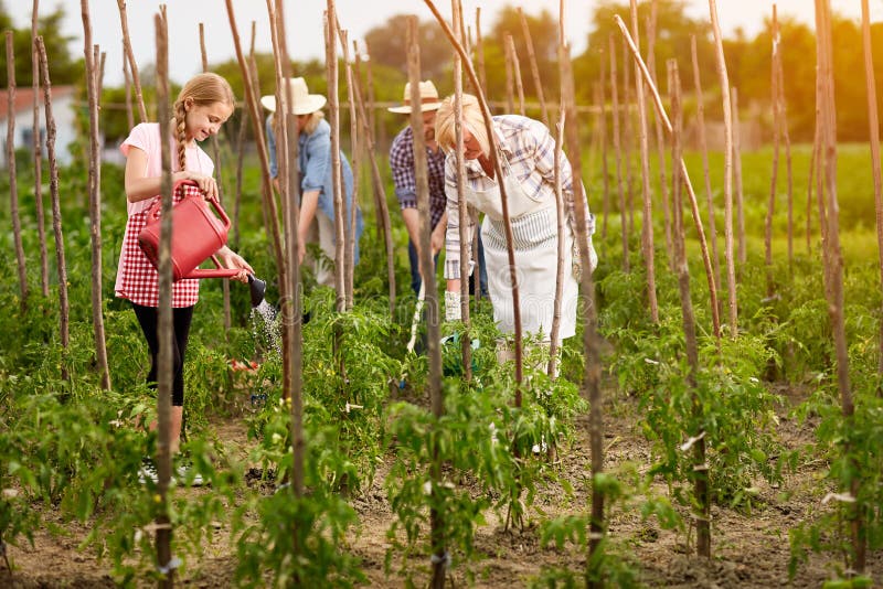 Travail de famille dans le jardin image libre de droits Travail de famille dans le jardin image libre de droits
