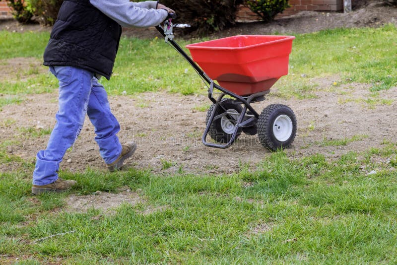 Travailleur De Jardin Avec Semis De Graines D'herbe De Pelouse Avec Une  épandeur De Pelouse Goutte Dans La Cour Arrière Résidentie Photo stock -  Image du cordon, jardinier: 217507810