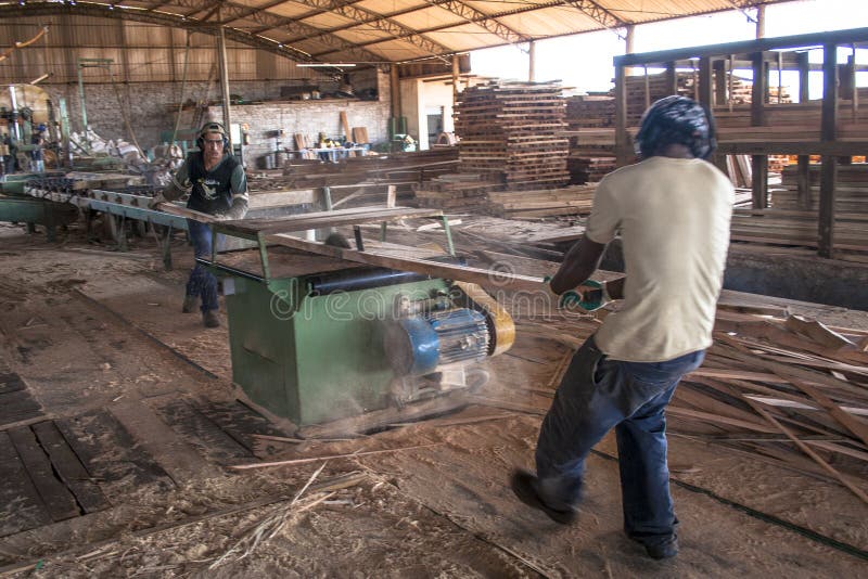 Travailler dans une scierie