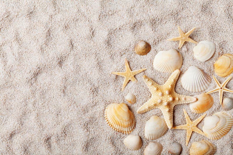 Travel background from sandy beach decorated with starfish and seashell. Top view.