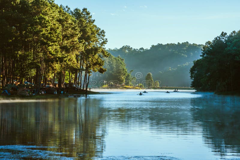 Travel nature on the mountains pine forests, with fog floating on the lake surface morning the sunrise in Thailand. royalty free stock photo Travel nature on the mountains pine forests, with fog floating on the lake surface morning the sunrise in Thailand. royalty free stock photo