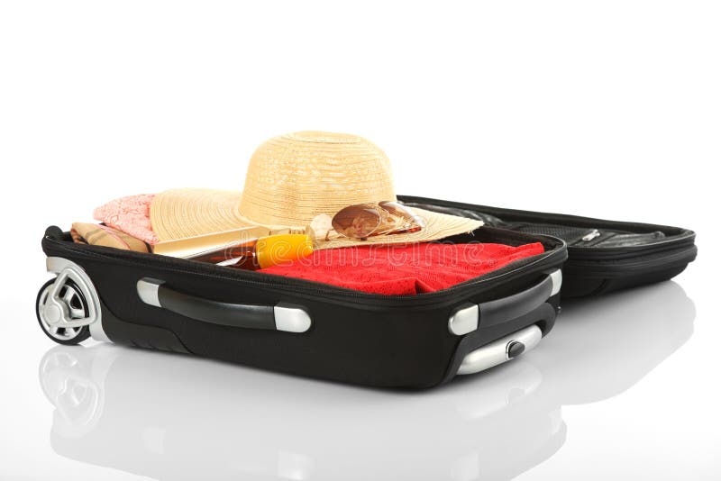 Travel Suitcase stock photo. Image of concepts, briefcase 29552376