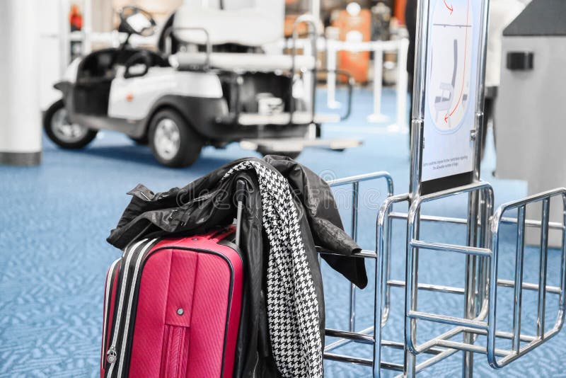 Travel Suitcase at the Airport Stock Photo Image of female, leave