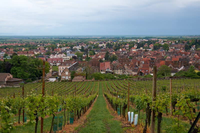 Travel wine route in France royalty free stock images Travel wine route in France royalty free stock images