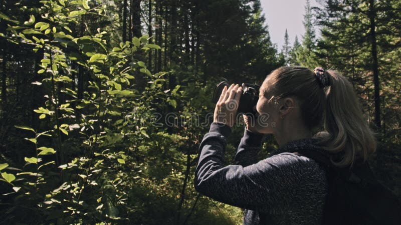 Traveler photographing scenic view in forest. One caucasian woman shooting nice magic look. Girl take photo video on dslr mirrorless camera. Professional photographer travel with backpack. Outdoor. Traveler photographing scenic view in forest. One caucasian woman shooting nice magic look. Girl take photo video on dslr mirrorless camera. Professional photographer travel with backpack. Outdoor.