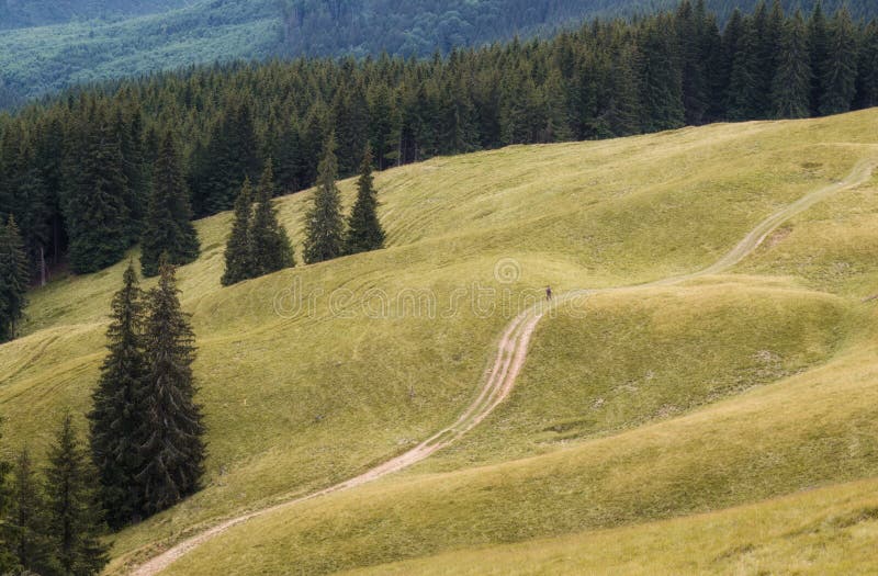 A traveler walking on a mountain road stock images A traveler walking on a mountain road stock images