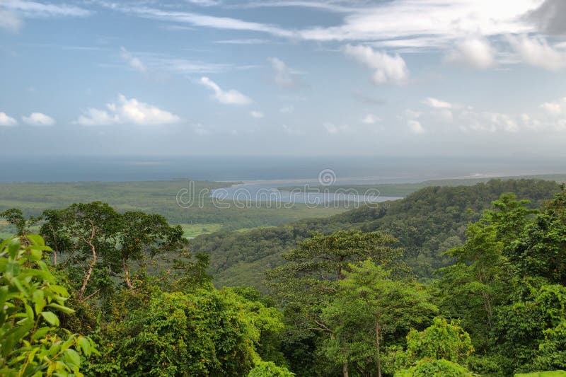 Travelling the Daintree National Park