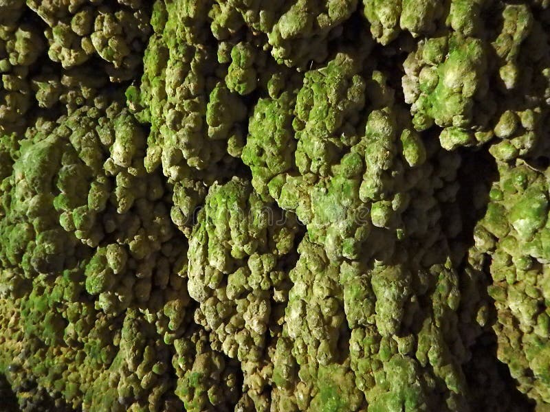 Travertine Covered with Green Moss Stock Photo Image of rough, slab