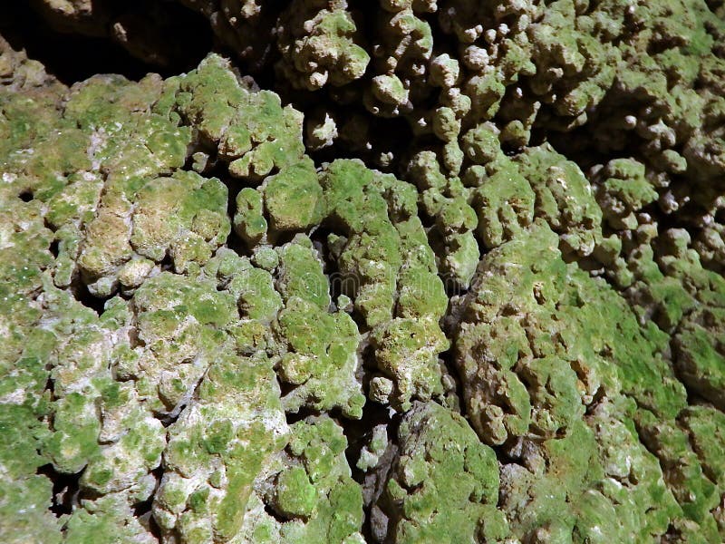 Travertine Covered with Green Moss Stock Image Image of brown, marble