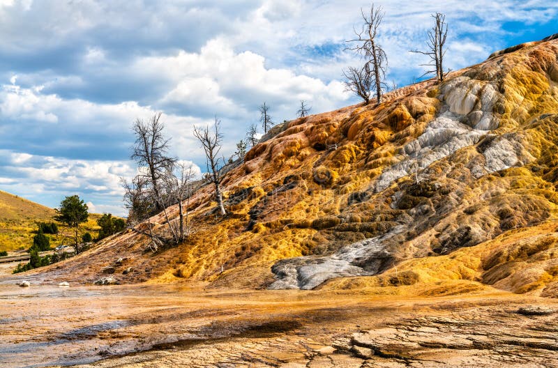 Travertine Terraces at Mammoth Hot Springs, Yellowstone National Park