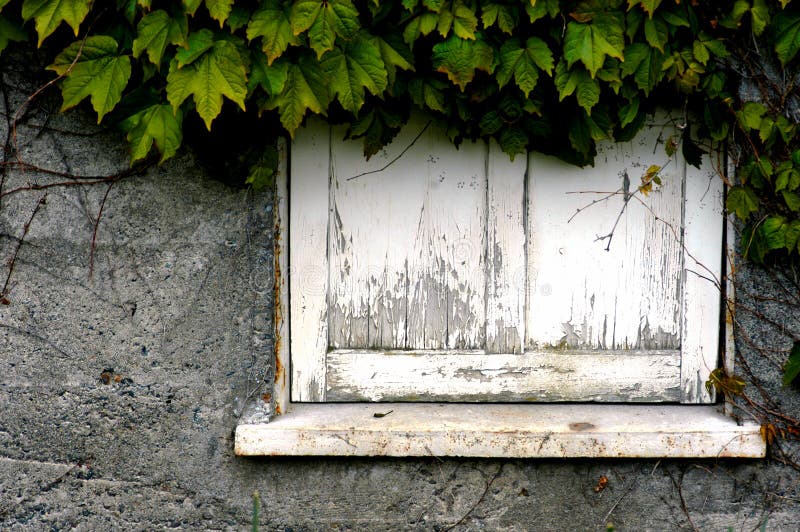 Dilapidated window sill with overgrown leaves. Dilapidated window sill with overgrown leaves.