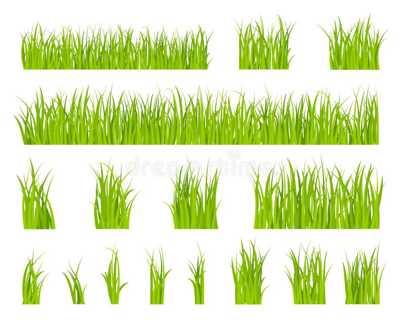 Trawa zielona. biotrawnik wzór zielny letnia granica. pojedyncze pola wiosenny sezon poziome elementy ogrodu. organiczny