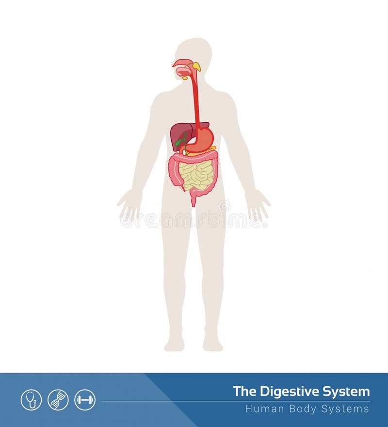 Trawienny system ilustracji Trawienny system ilustracji