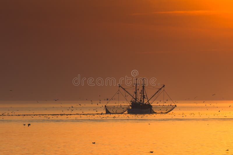 Trawler with dragnet fishing in the Wadden Sea at sunset