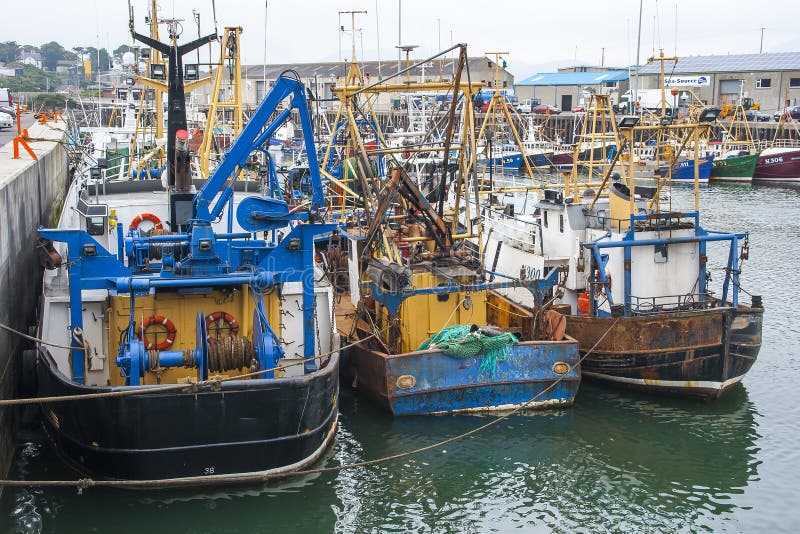 19 September 2014 Trawlers of various sizes berthed in the safe shelter of busy Kilkeel Harbour in County Down Northern Ireland. 19 September 2014 Trawlers of various sizes berthed in the safe shelter of busy Kilkeel Harbour in County Down Northern Ireland