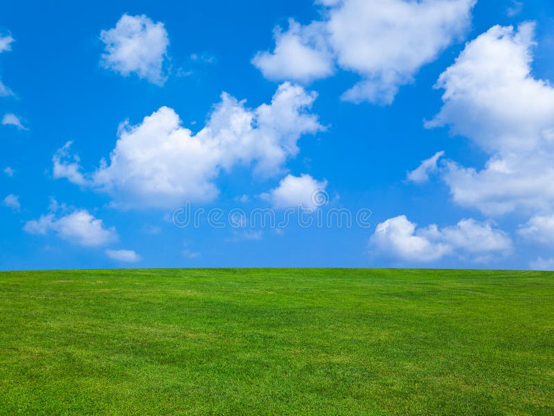 Trawy chmurny niebo