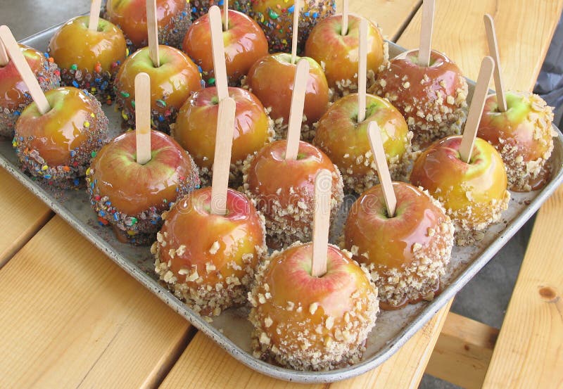 Tray of caramel apples royalty free stock photo