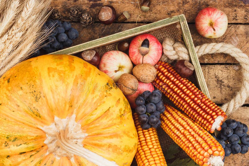 Tray with Pumpkin and Different Ripe Fruits and Vegetables Stock Image ...