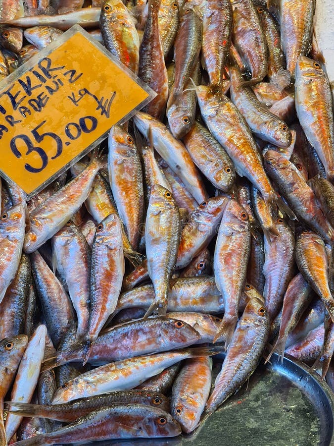 A Tray Full of Fresh Fish on a Fish Market in Istanbul, Turkey Stock