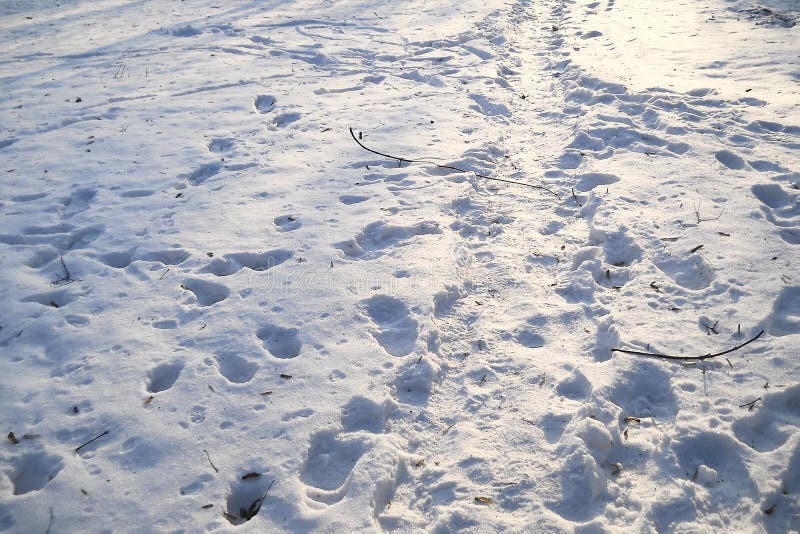Traînez dans la neige après une tempête de neige images libres de droits Traînez dans la neige après une tempête de neige images libres de droits