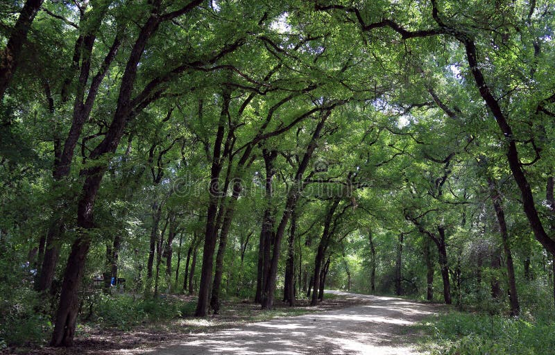 Traînée scénique en parc de Mayfield, Austin photos libres de droits Traînée scénique en parc de Mayfield, Austin photos libres de droits
