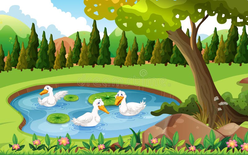 Tre anatre che nuotano nello stagno illustrazione vettoriale Tre anatre che nuotano nello stagno illustrazione vettoriale
