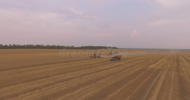 Tre associazioni che raccolgono campo sulla vista aerea