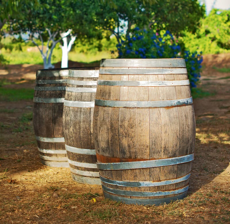 Tre barilotti di vino immagine stock Tre barilotti di vino immagine stock