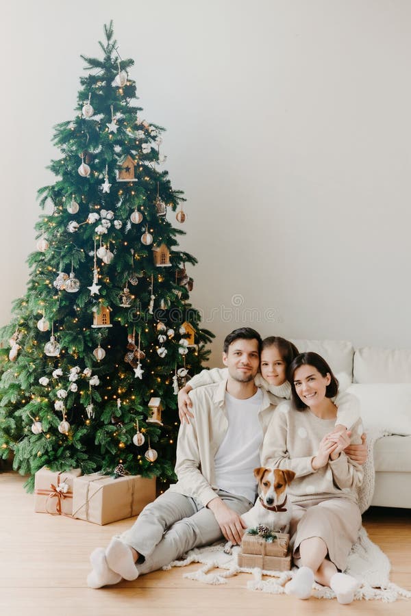 Tre familjemedlemmar står på golvet i ett fint rum, presentlådor runt, dekorerat nyårsträd och soffa Fader, mor och dotter royaltyfria bilder Tre familjemedlemmar står på golvet i ett fint rum, presentlådor runt, dekorerat nyårsträd och soffa Fader, mor och dotter royaltyfria bilder