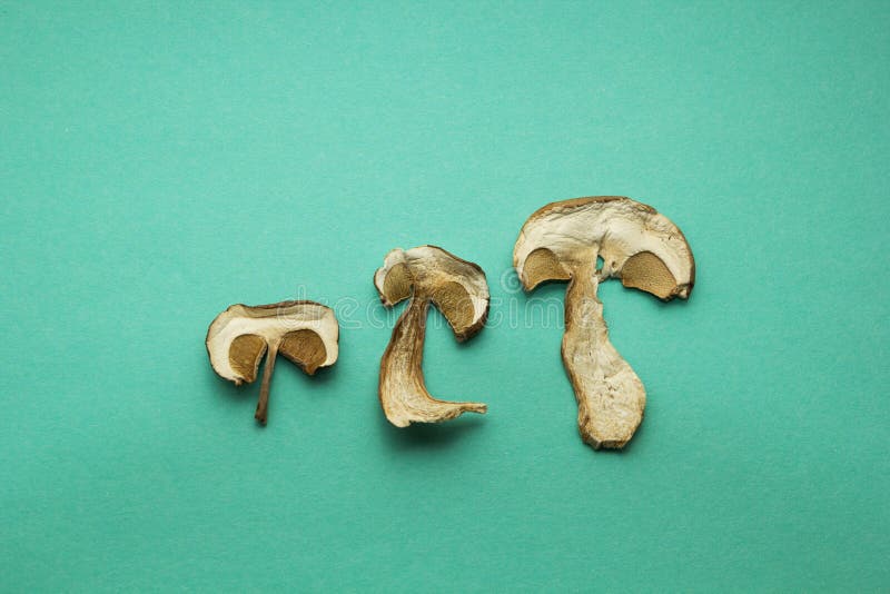 Tre fette di funghi asciutti del boletus su fondo verde immagini stock libere da diritti Tre fette di funghi asciutti del boletus su fondo verde immagini stock libere da diritti